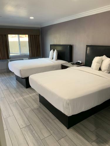 Hotel Willow Tree Inn & Suites