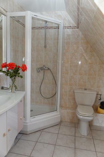 Bed & Breakfast Domaine Roland Geyer
