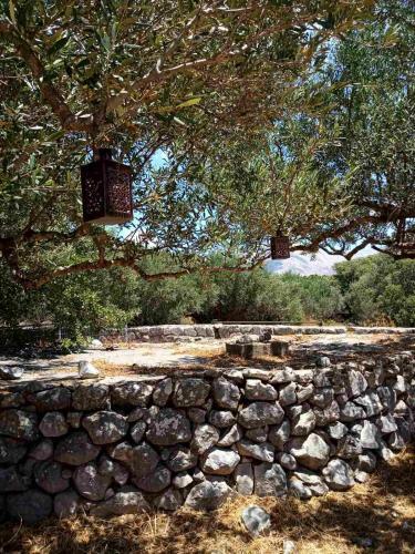 ?? ?????????? ??? ?????????? Annezoula's Castle
