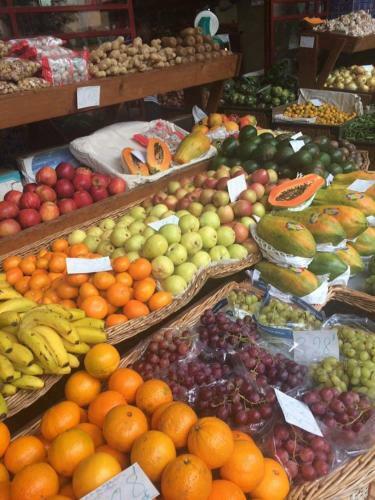 Casa De S�o Gon�alo