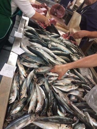 Casa De S�o Gon�alo