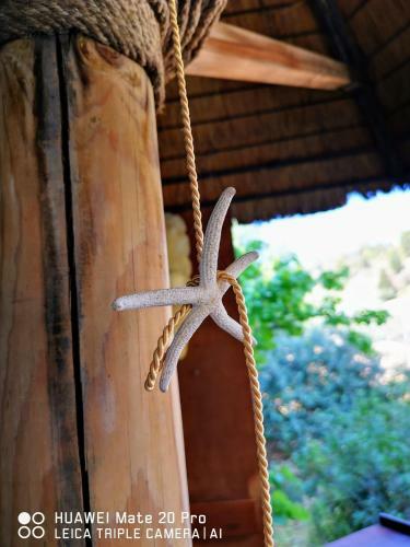 Apartamento Iris Studios