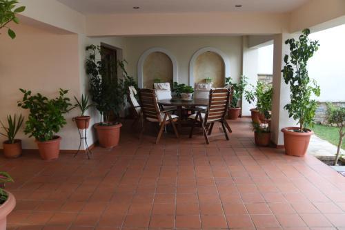 Apartment With Garden 20 Meters From The Beach