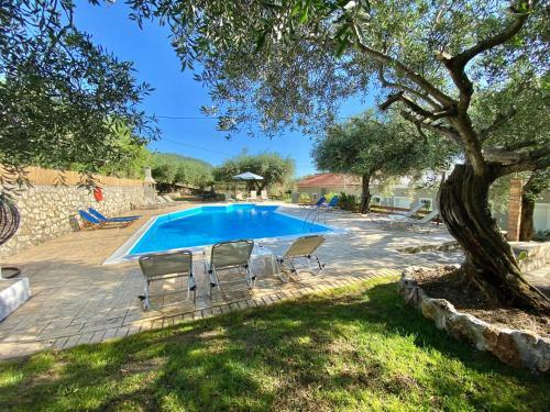 Olive Grove Poolside Apartments