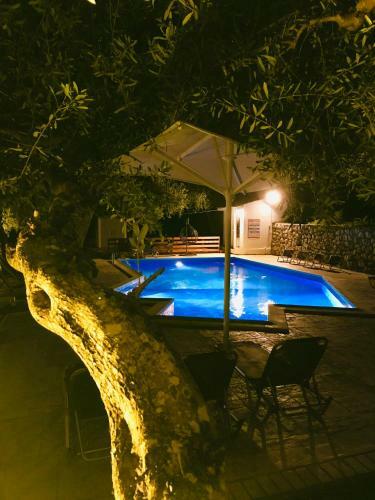 Olive Grove Poolside Apartments