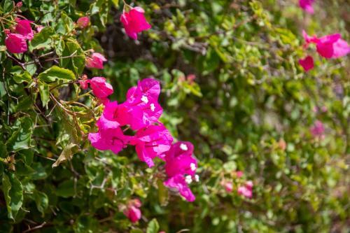 Apartamento Miracle View Villas