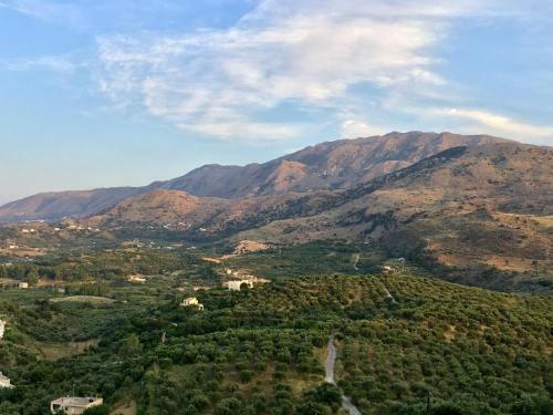 Marjoram - Morfi Village