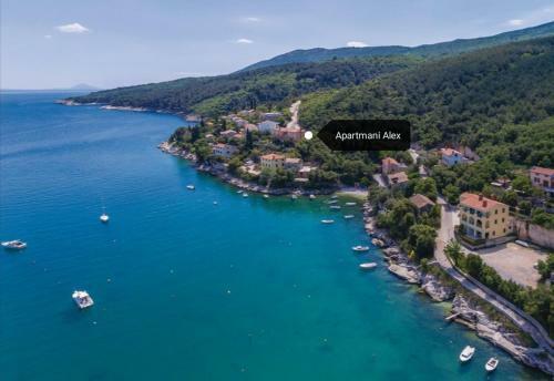 Apartamentos Alex