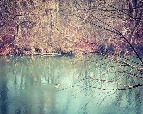 Apartamento Mre?ni?ki Mozaik