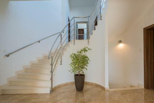 Luxury Villa Nadalina-dicmo