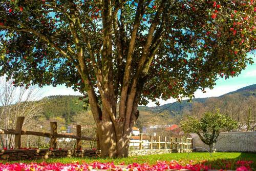 Agroturismo Casa De Campo Vale Do Ceira