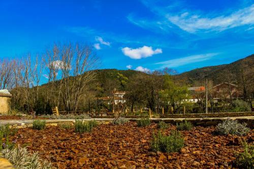 Agroturismo Casa De Campo Vale Do Ceira