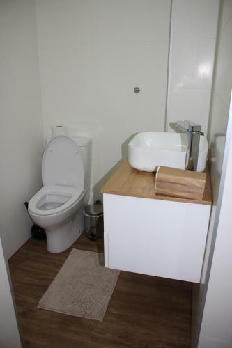 Cabe�o Das Fr�guas - Apartamento Centro Cidade Da Guarda