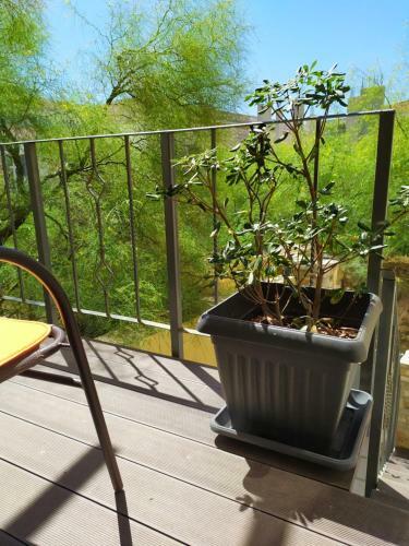 Apartamento Ermoupolis 1834 Traditional Stone Yard House