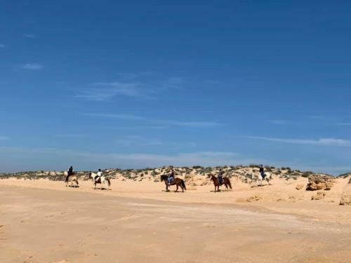 Apartamento Salgados Beach And Relax