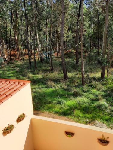 Bed & Breakfast Smiling Places - Guest House In Labruge