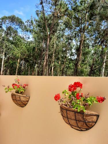 Bed & Breakfast Smiling Places - Guest House In Labruge