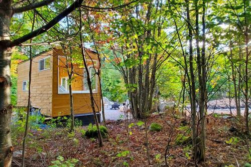 Tiny House In The Woods-escape To Nature. The Loon