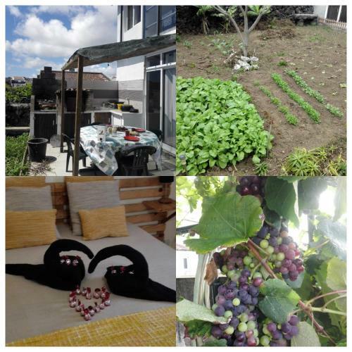 Agroturismo Alojamento Ros�rio
