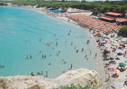 Centro Vacanze La Pineta