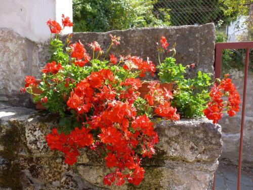 Hostal Ref�gio Do Anjo - Alojamento Local