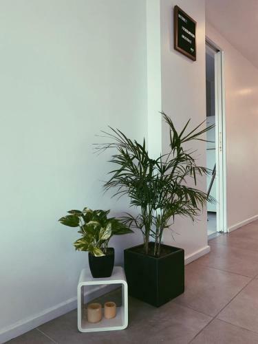 Apartamento Departamento Las Ca�itas