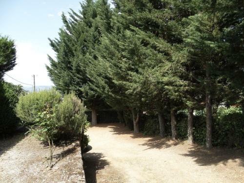 Farmhouse Douro With Amazing Views