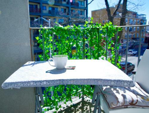 Modern Brighton Room-with Balcony-5min To Beach-separate Entrance