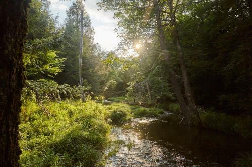 Tentrr Signature Site - High Peak Meadows Camp Ny