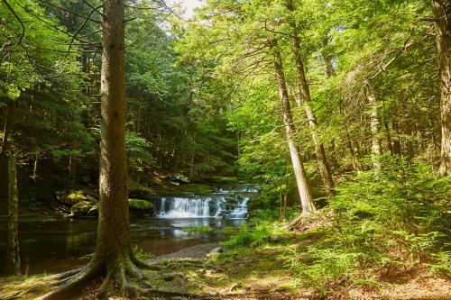 Tentrr Signature Site - High Peak Meadows Camp Ny