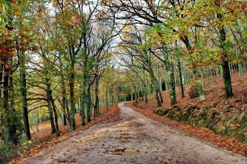 Chez Louise: Onde A Serra Beija O C�u