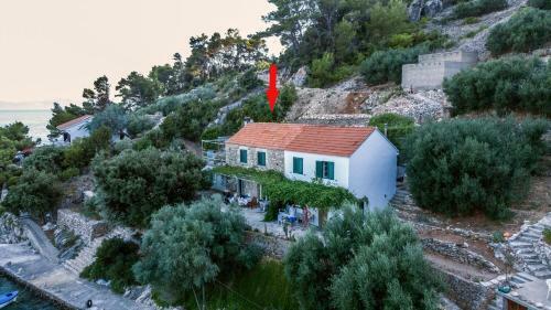 Seaside Secluded Apartments Cove Torac, Hvar - 4875
