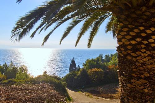 Apartment Tvrdni Dolac 4008c