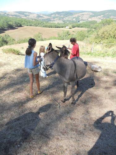 Hostal Chambre D'h�tes Et G�te Des Monts