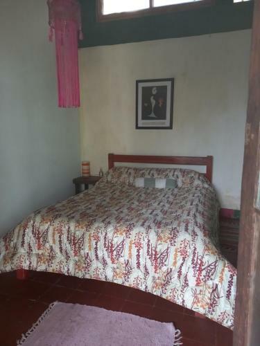 Hostal Casa Del Arbol Hostel