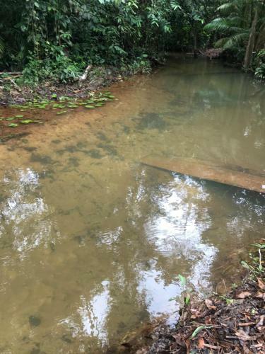 S�tio Com Piscina, Igarap� E Campo Futebol