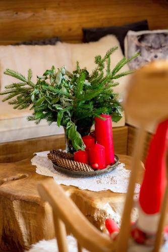 Divjake Log Home - Kraljica ?ume