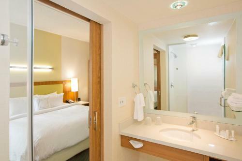Hotel Springhill Suites By Marriott Pittsburgh Mt. Lebanon