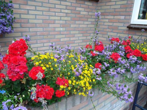 Bed & Breakfast Hof Van Lutten