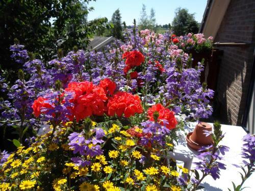 Bed & Breakfast Hof Van Lutten