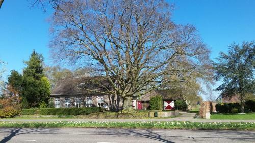 Bed & Breakfast Huize De Rode Beuk