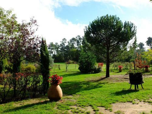 Bed & Breakfast Domaine Du Planas