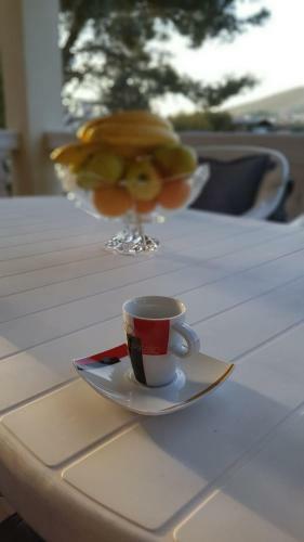 Apartamentos Villa Maximilian