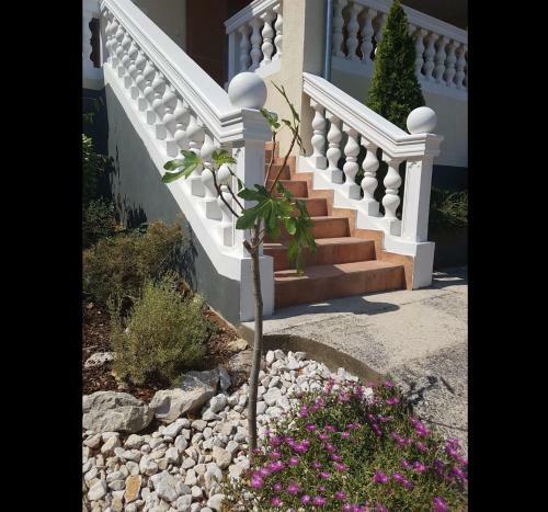 Apartamentos Villa Maximilian