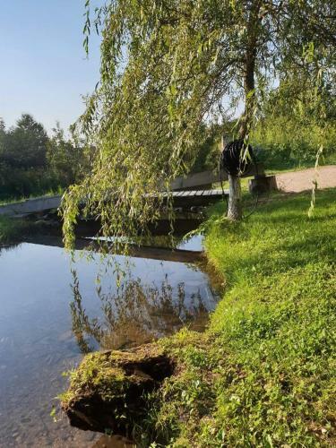Hostal Rustic Inn River 3