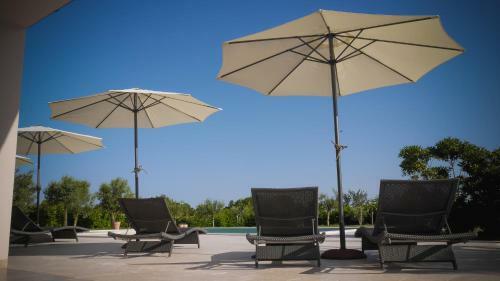 Enjoy Istra - Stay In Villa Dorotea