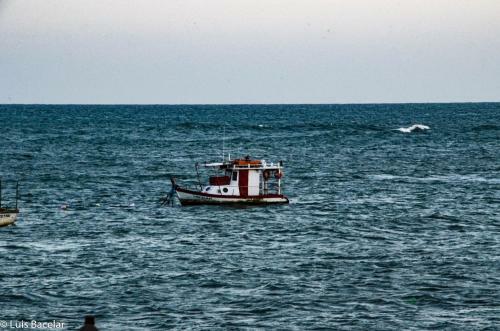 Apartamento Paraiso Das �guas 310a