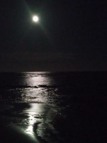 Casa De Frente Para O Mar