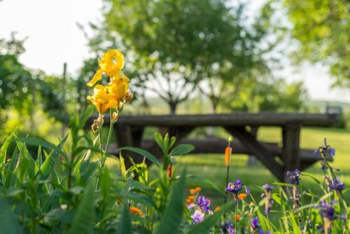 Apartment Tri Mudraca
