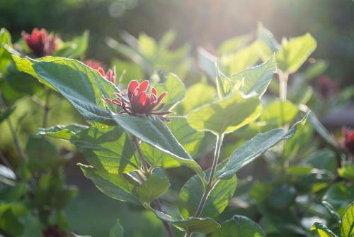 Apartment Tri Mudraca
